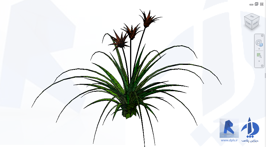 3D Flower   Lilly 1 8164 - آبجکت گل باغچه رویت Revit